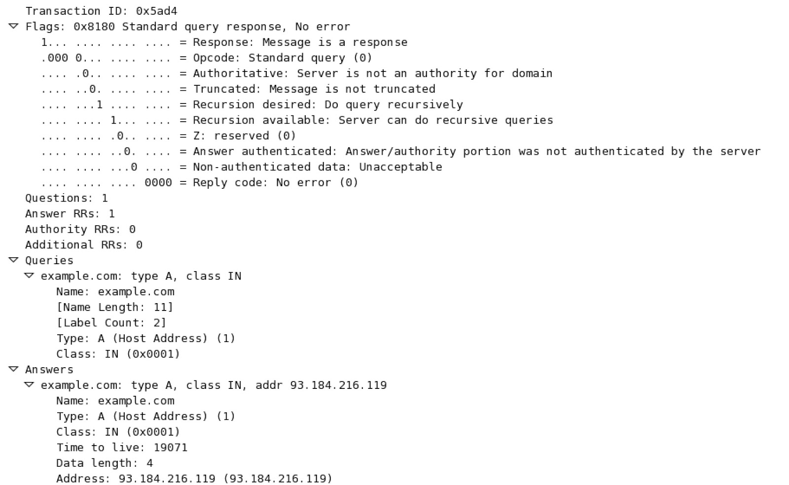 dns-wireshark